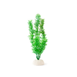 Plastväxt - Hornblad - Ceratophyllum - 20 cm