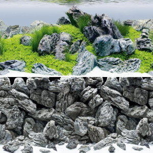 Juwel Poster 4 Aquascape / Stone - L - 100x50 cm
