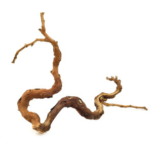Winewood gren - S - 20-40 cm