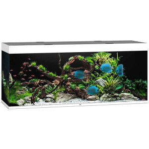 Juwel Rio 450 liter LED - Vit