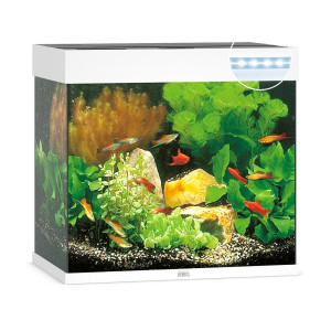 Juwel Lido 120 liter LED - Vit