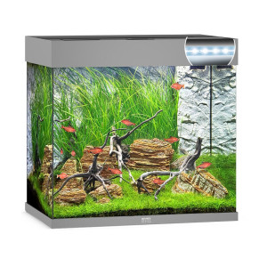 Juwel Lido 120 liter LED - Grå