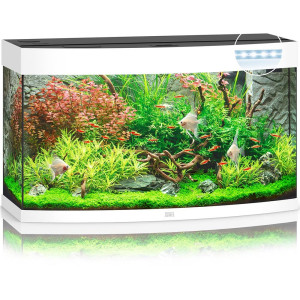 Juwel Vision 180 liter LED - Vit