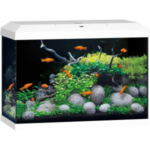 Juwel Primo 70 liter LED 2.0 - Vit