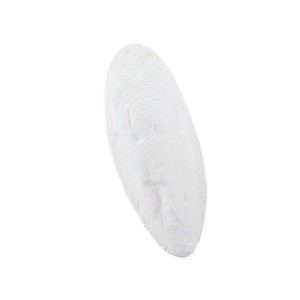 Sepiaskal - 1 kg