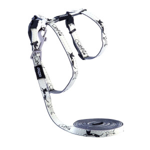 ROGZ Glowcat Kattsele & Koppel - 24-40 cm
