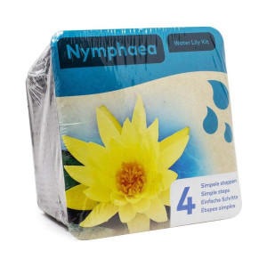 Drypack Nymphaea Gul - Dammväxt / Startkit