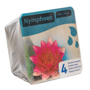 Drypack Nymphaea Röd - Dammväxt / Startkit