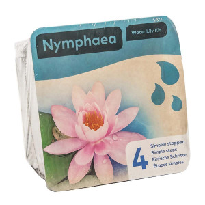 Drypack Nymphaea Rosa - Dammväxt / Startkit