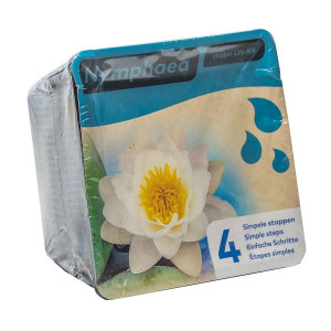 Drypack Nymphaea Vit - Dammväxt / Startkit