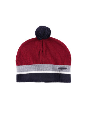 Lion of Porches Gorro Vermelho