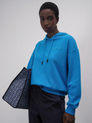 Lion of Porches Sweatshirt azul com capuz Turquesa Escuro