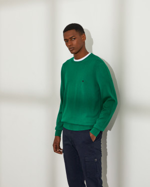 Lion of Porches Camisola para homem básica de algodão com gola redonda Verde