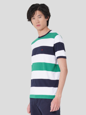 Lion of Porches T-Shirt riscas Verde