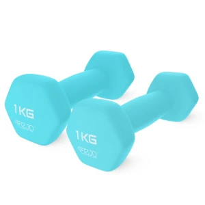 Gusseisen-Hanteln Classic 2 x 1 kg