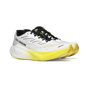 Salomon