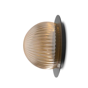 Robin :: Lampa ścienna / sufitowa Roi Disc czarno-dymna śr. 15 cm