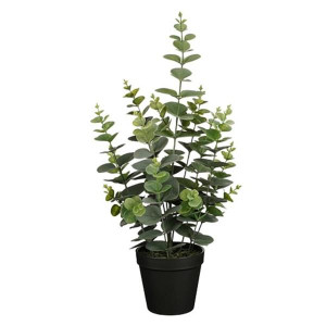 Eucalyptus in Pot Green - H53xd23cm, Artificial, Low Maintenance, Green