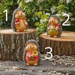 Smart Garden Hoglets Mixed by Smart Garden, 17 cm, Indoor/Outdoor Use
