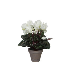 Artificial Cyclamen White in Pot Stan Grey, D11.5cm - H30xD30cm, Indoor Decoration, Easy to Maintain, No Watering Required