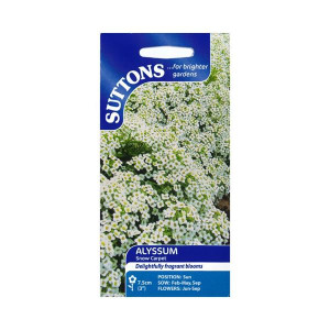 Sutton Seeds Alyssum Snow Carpet, Hardy Annual, Fragrant Blooms, 7.5cm Height, for Garden Borders and Containers