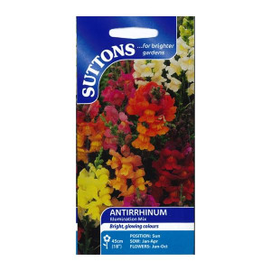 Sutton Seeds Antirrhinum Illumination Mix, Half-Hardy Annual, 45cm (18") Height, Vibrant Colours for Bedding