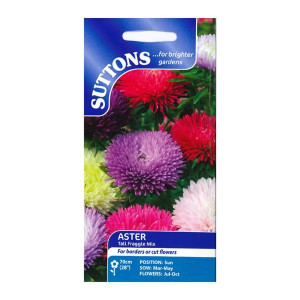 Sutton Seeds Aster Tall Fraggle Mix, Lavender, Dark Blue, Rose, White and Purple Flowers, 70cm (28")