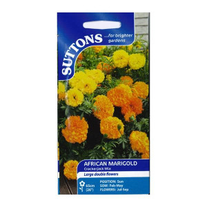 Sutton Seeds African Marigold Crackerjack Mix, Large Flowered Tall Mixture, Half Hardy Annual, 65cm/26" Height, Sow February-May, Flowers