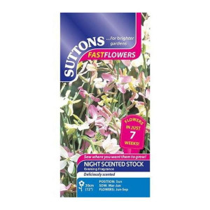 Sutton Seeds Night Scented Stock Evening Fragrance, Pastel Coloured Blooms, Hardy Annual, 30cm Height