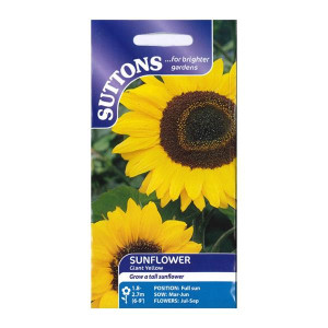 Sutton Seeds Sunflower Giant Yellow, Hardy Annual, Yellow Flowers, 1.8-2.7m Tall