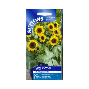 Sutton Seeds Sunflower Waooh, Hardy Annual, Vibrant Yellow, 40-60cm Height, Summer Blooms