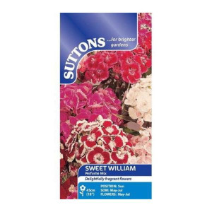 Sutton Seeds Sweet William Perfume Mix, Hardy Biennial, Cut Flowers, 45cm/18"