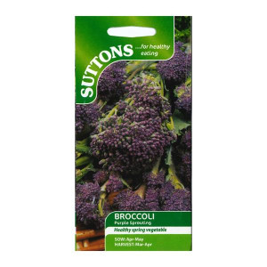 Sutton Seeds Broccoli Purple Sprouting for Gardeners, Hardy and Reliable, Sow April-May, Harvest March-April