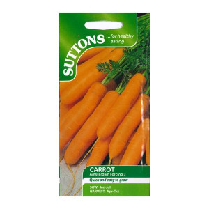 Sutton Seeds Carrot Amsterdam Forcing 3, Fast Maturity, 12-6 in. Seed Packets