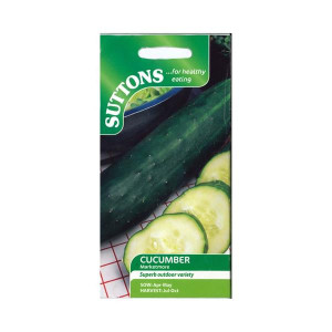 Sutton Seeds Cucumber Marketmore for Outdoor Growing, 70-80 Days to Harvest