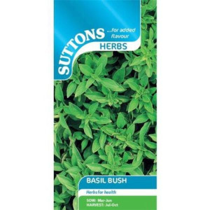 Sutton Seeds Basil Bush Seeds for Gardening, Annual, Easy to Grow