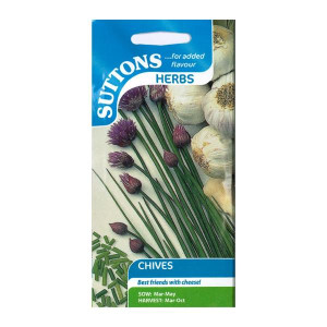 Sutton Seeds Chives Perennial Onion Flavored Green Leaves for Garden