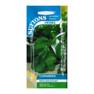Sutton Seeds Coriander, Hardy Annual, Sow April to June, Harvest August to October