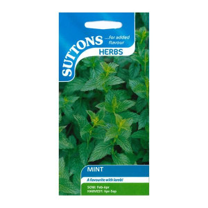Sutton Seeds Mint Hardy Perennial for Containers, Sow February to April, Harvest April-September, 40-50cm Height, Sutton Seeds