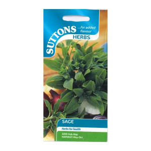 Sutton Seeds Sage, Hardy Perennial for Duck, Veal or Pork Dishes, Grey-green Leaves, Sow Feb to May, Harvest May to Oct