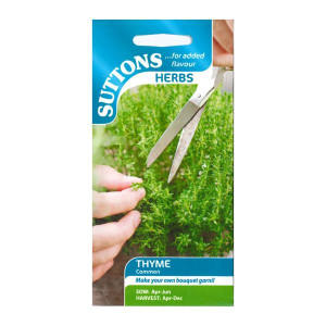 Sutton Seeds Thyme Common, Hardy Perennial for Fish and Poultry Dishes, Sow April-May, Chalky Fertile Soil