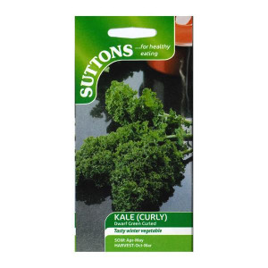 Sutton Seeds Kale (Curly) Dwarf Green Curled, 28-32 weeks maturity, Winter Hardy