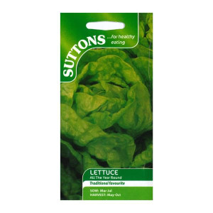 Sutton Seeds Lettuce All The Year Round, Popular Variety for Continuous Harvest