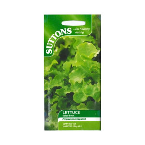 Sutton Seeds Lettuce Salad Bowl for Garden, Sow March - July, 8-12 weeks to Harvest
