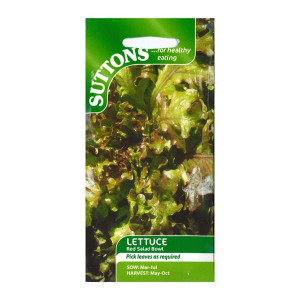 Sutton Seeds Lettuce Red Salad Bowl, Attractive Red Tinged Leaves, Picking Variety, 10-14 Weeks Maturity