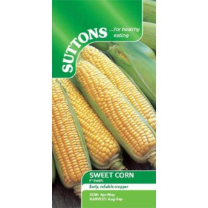 Sutton Seeds Sweet Corn Swift - Supersweet Variety - Early Maturing - RHS Award of Garden Merit Winner