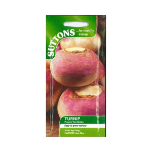 Sutton Seeds Turnip Purple Top Milan, Easy to Grow, Crunchy Texture, 8-10 Week Crop