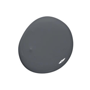 Colourtrend Tester Genesis, a contemporary slate shade, for Home Decor