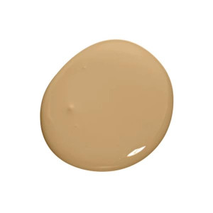 Warm Gold Wall Paint Color by Colourtrend, 100Ml Tester