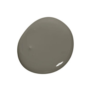 Colourtrend Burrowing Paint Colour, 100ml, Dark Peat Tone with Smoked Green Touch, Home Decor